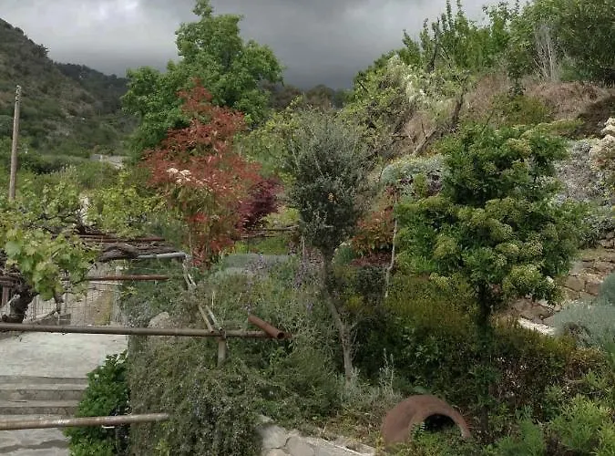 Rodous * Λεμεσός