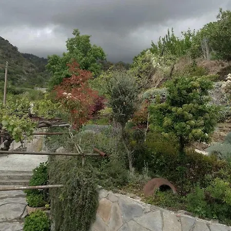 Rodous * 利马索尔